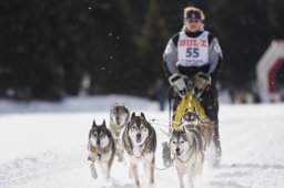 Lenzerheide 2013